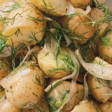 Indlæs billede til gallerivisning Dild "Compact", Anethum graveolens