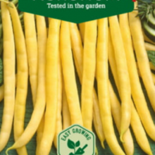 Indlæs billede til gallerivisning Buskbønne dværg "Gondola", Phaseolus coccineus