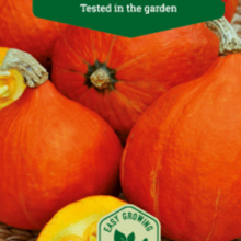 Indlæs billede til gallerivisning Græskar "Potimarron", Cucurbita maxima