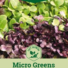 Indlæs billede til gallerivisning Mikrogrønt mix