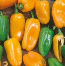 Indlæs billede til gallerivisning Peberfrugt "Hamik", Capsicum annuum L