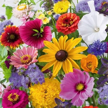 Blomsterblanding 