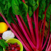 Indlæs billede til gallerivisning Bladbede &quot;Magenta Sunset&quot;, Beta vulgaris L
